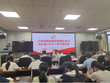 市商务局召开党组理论学习中心组（扩大）学习研讨会