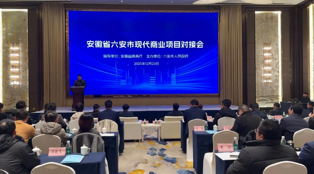 六安市现代商业项目对接会成功召开